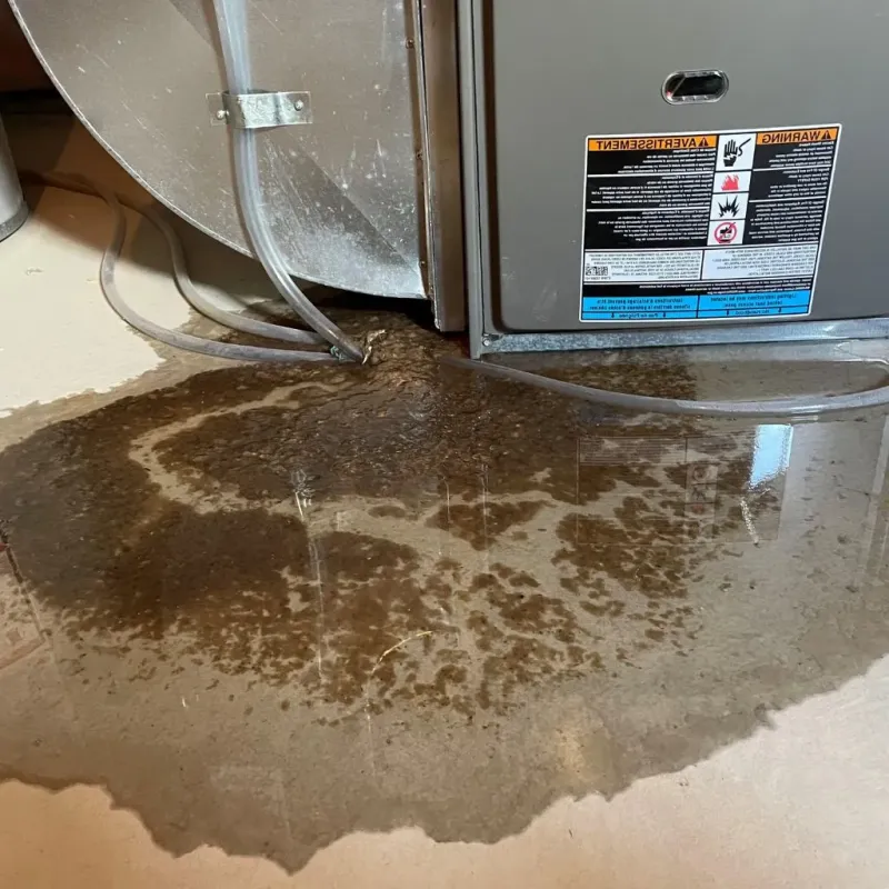 Pipe Burst and Leak Restoration in Corson County, SD