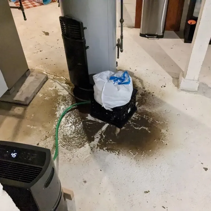 Sewage Backup Cleanup Service in Corson County, SD